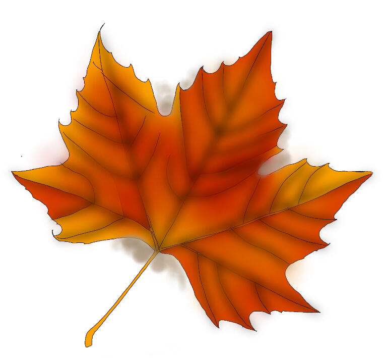 Orange maple leaf illustration with shaded veins